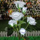 Buquê Rosas Nairobi LED