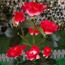 Buquê Rosas Nairobi LED