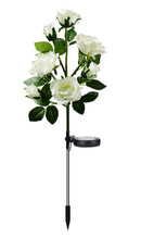 Buquê Rosas Nairobi LED