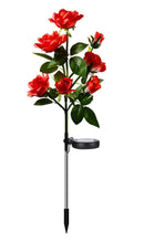 Buquê Rosas Nairobi LED