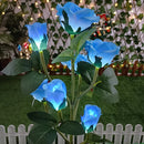 Buquê Rosas Nairobi LED