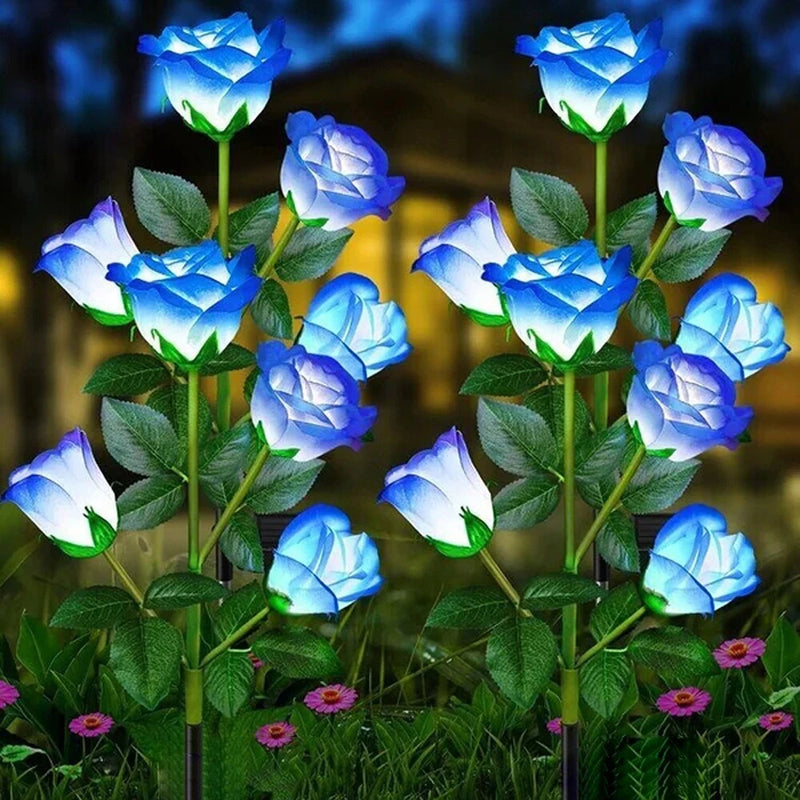 Buquê Rosas Nairobi LED