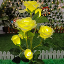 Buquê Rosas Nairobi LED