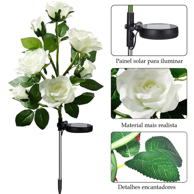 Buquê Rosas Nairobi LED