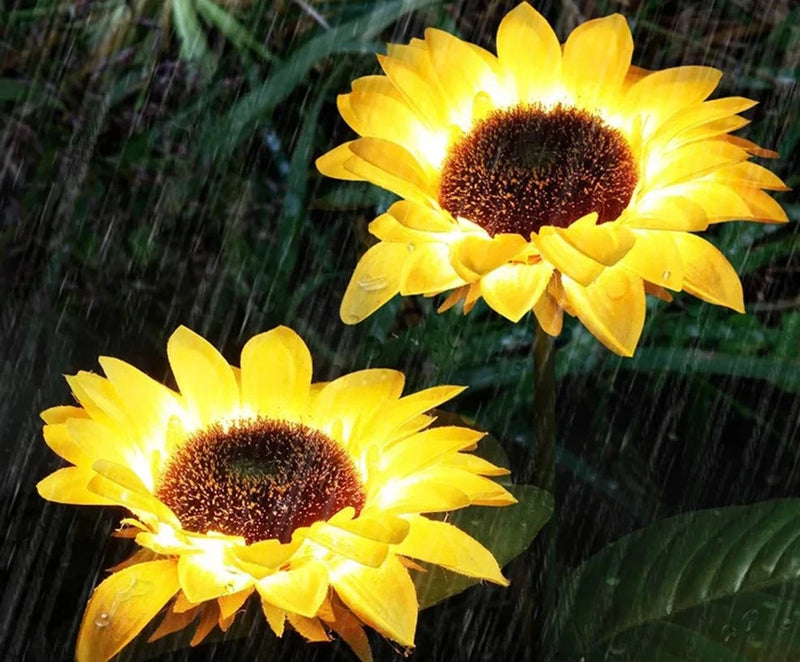 Flor Girassol LED Holambra